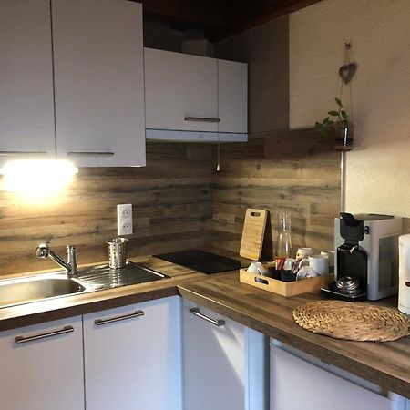 Duplex - Proche De Gerardmer Льо Толи Екстериор снимка