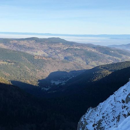 Duplex - Proche De Gerardmer Льо Толи Екстериор снимка