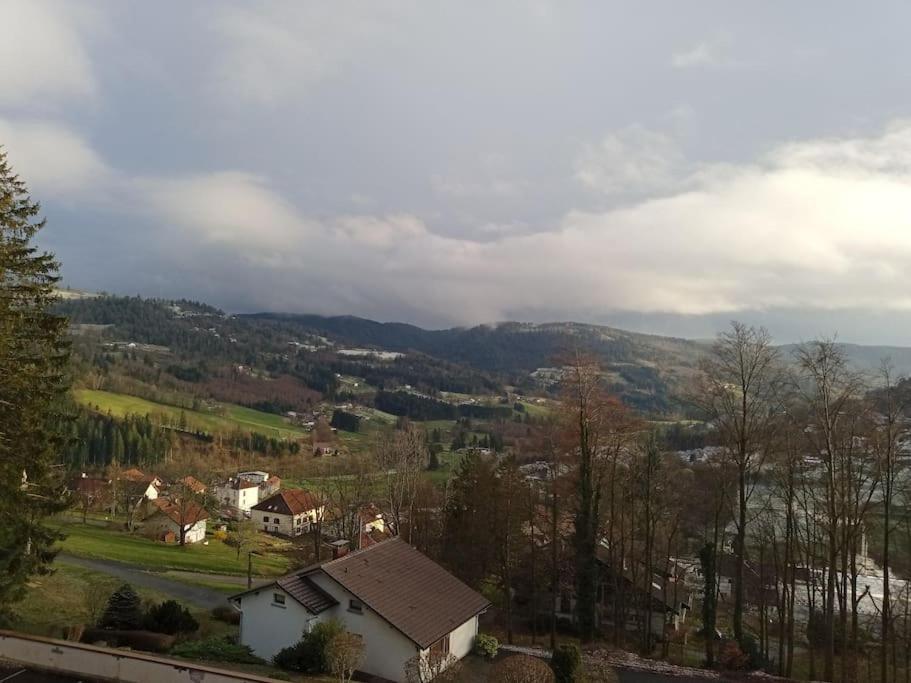 Duplex - Proche De Gerardmer Льо Толи Екстериор снимка