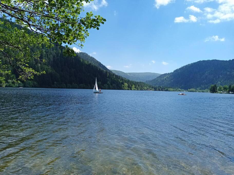 Duplex - Proche De Gerardmer Льо Толи Екстериор снимка