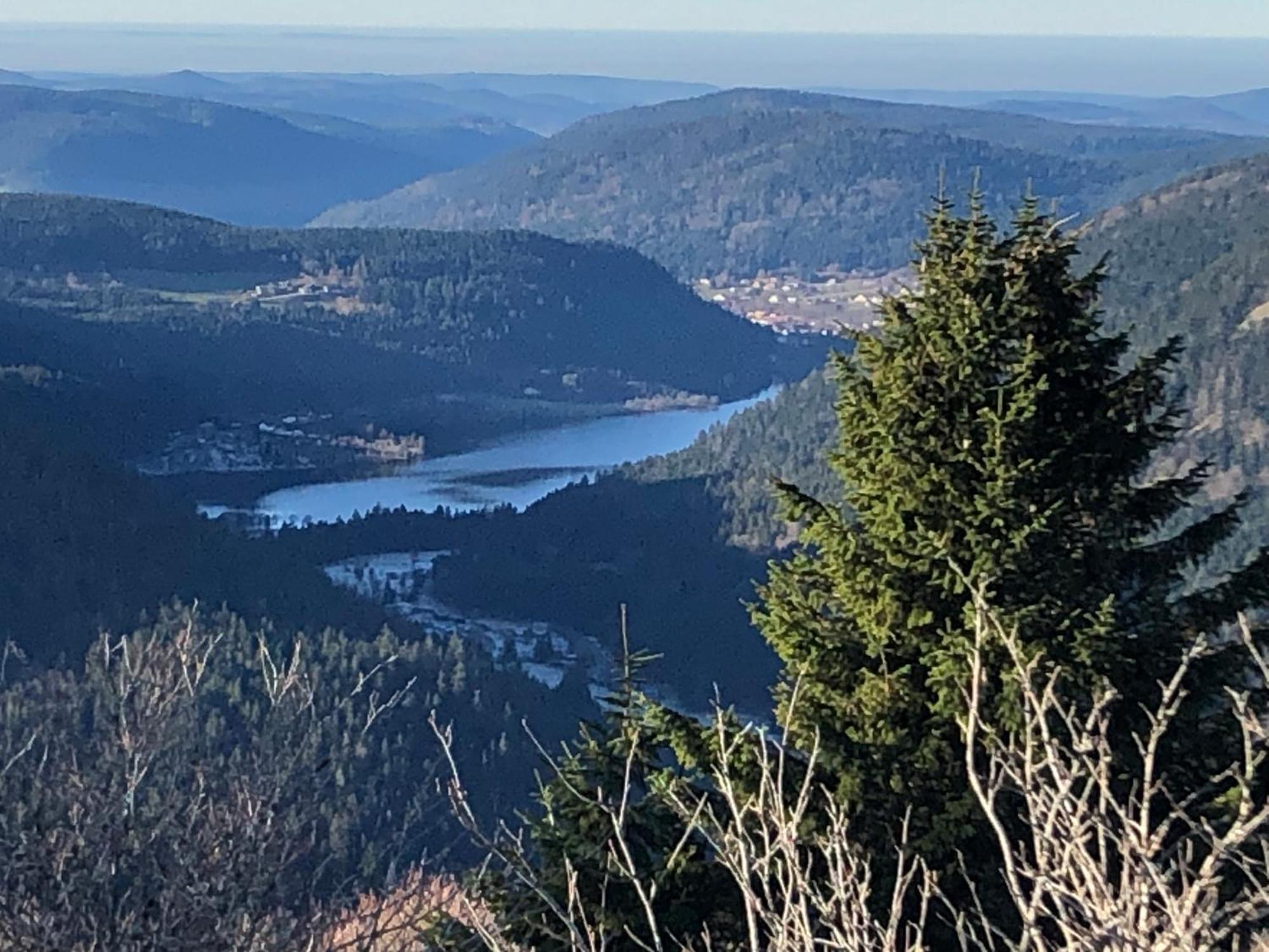 Duplex - Proche De Gerardmer Льо Толи Екстериор снимка