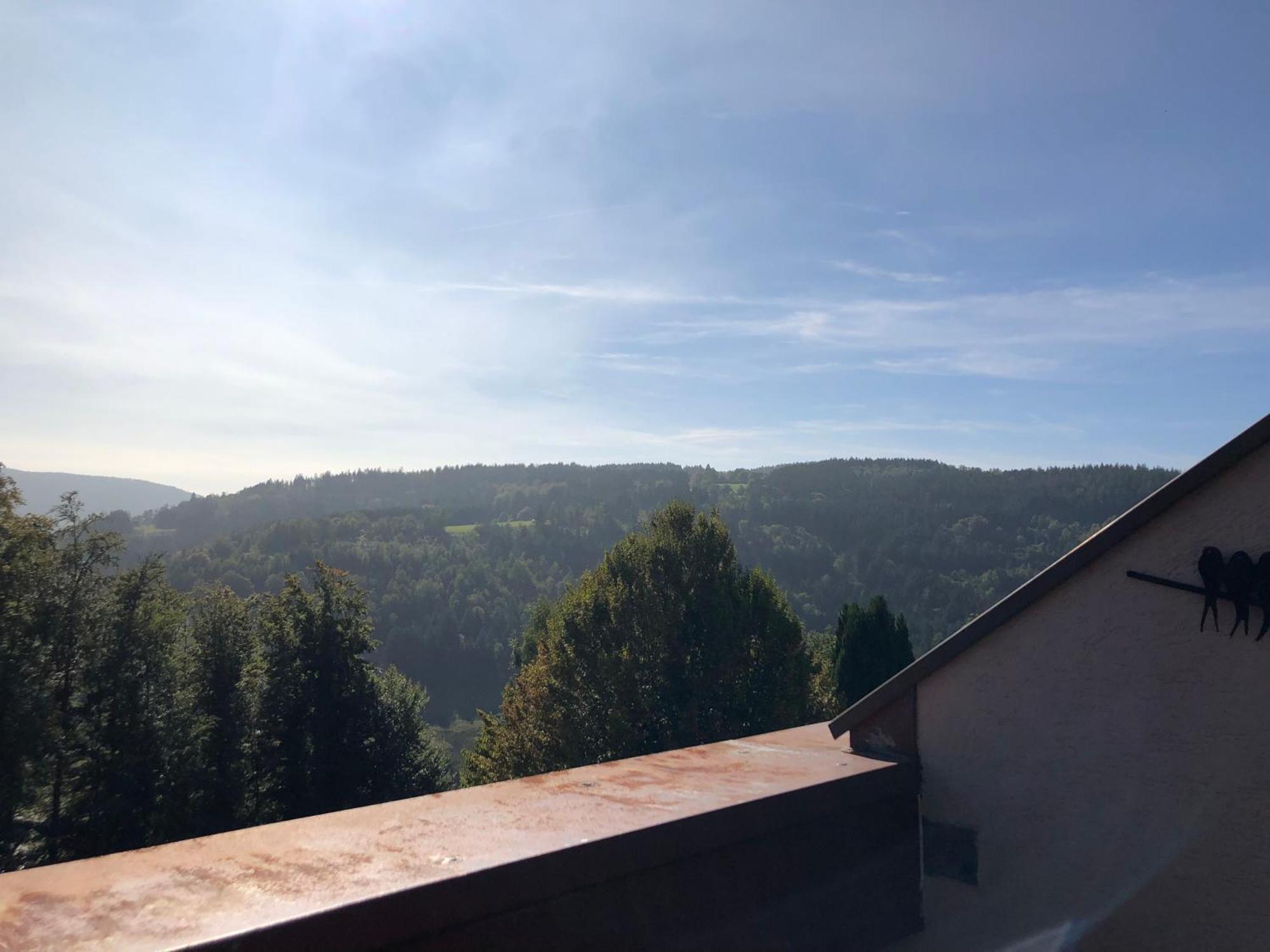 Duplex - Proche De Gerardmer Льо Толи Екстериор снимка